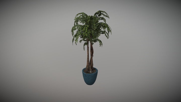 Potted Plant 3D Model