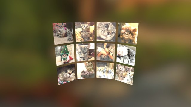 Instamuseum for @nala_cat 3D Model