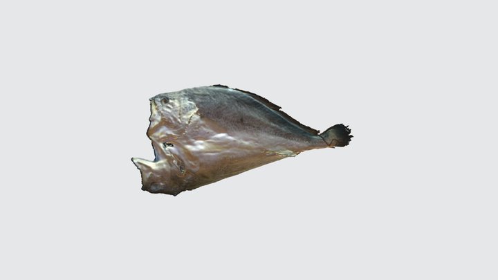 Salted Fish