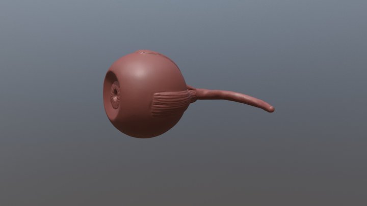 SculptJanuary 2018 | Jan 08 3D Model
