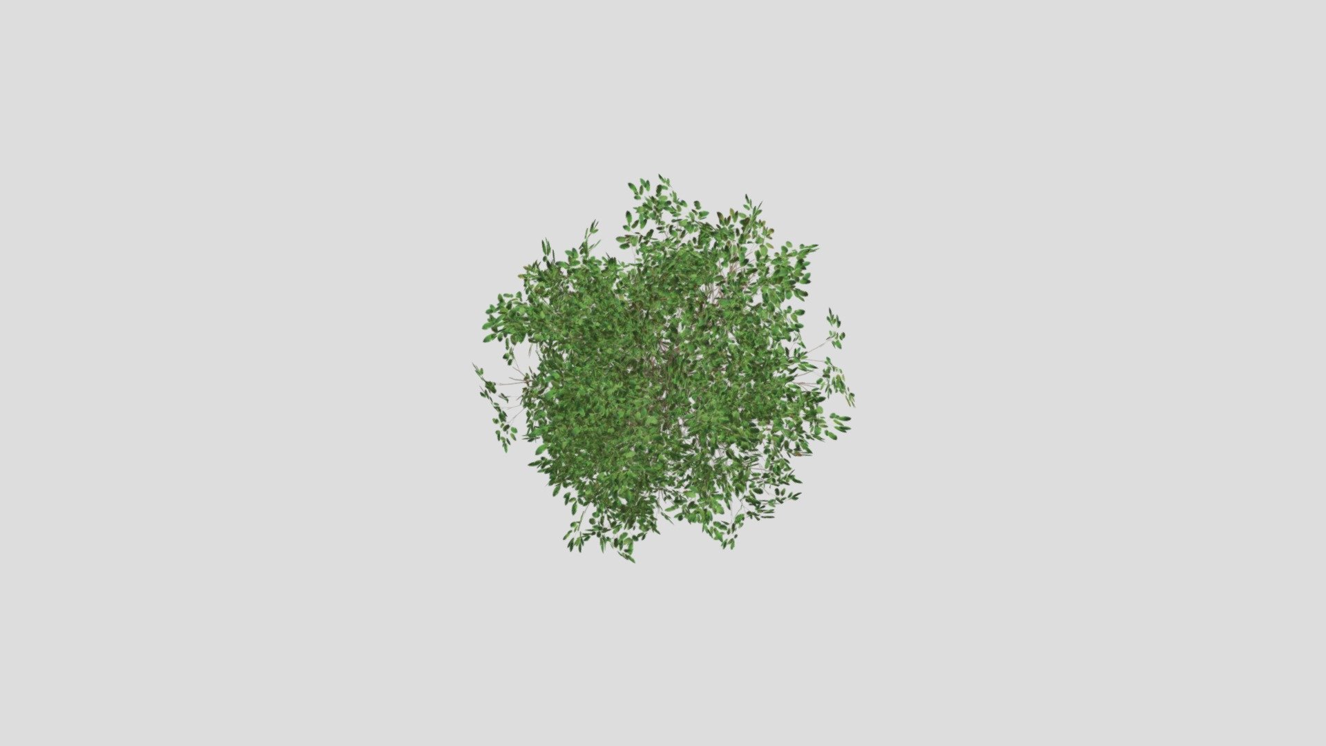 Simple Bush - Download Free 3D model by marco.cossetti [cb91cb6 ...