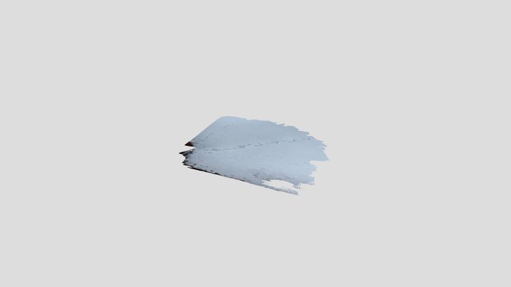 snow foot-track 3D Model