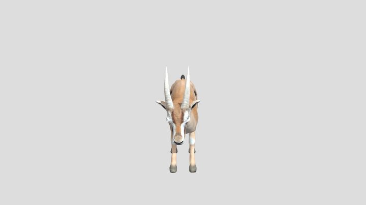 Gazelle – Modello 3D gratuito STL