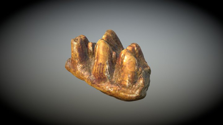 ITM.P.V.024. 3D Model