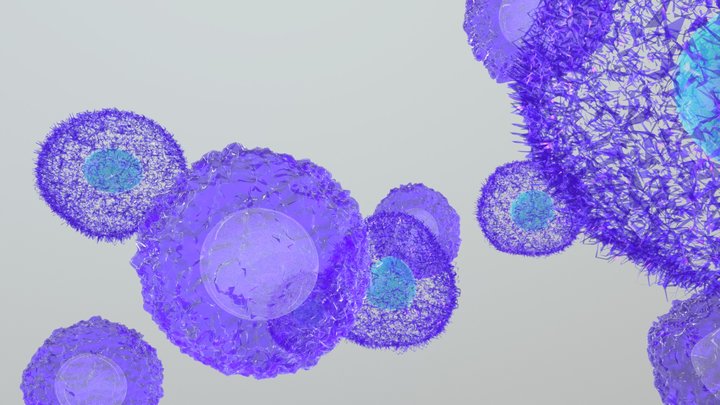 Animal cells 3D Model