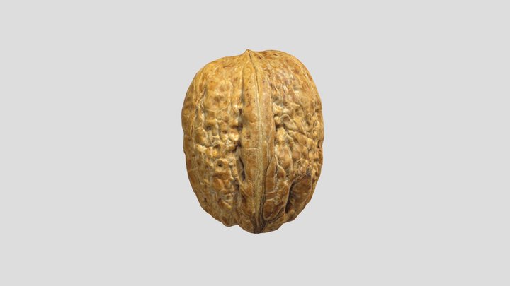 Walnut 3D Model