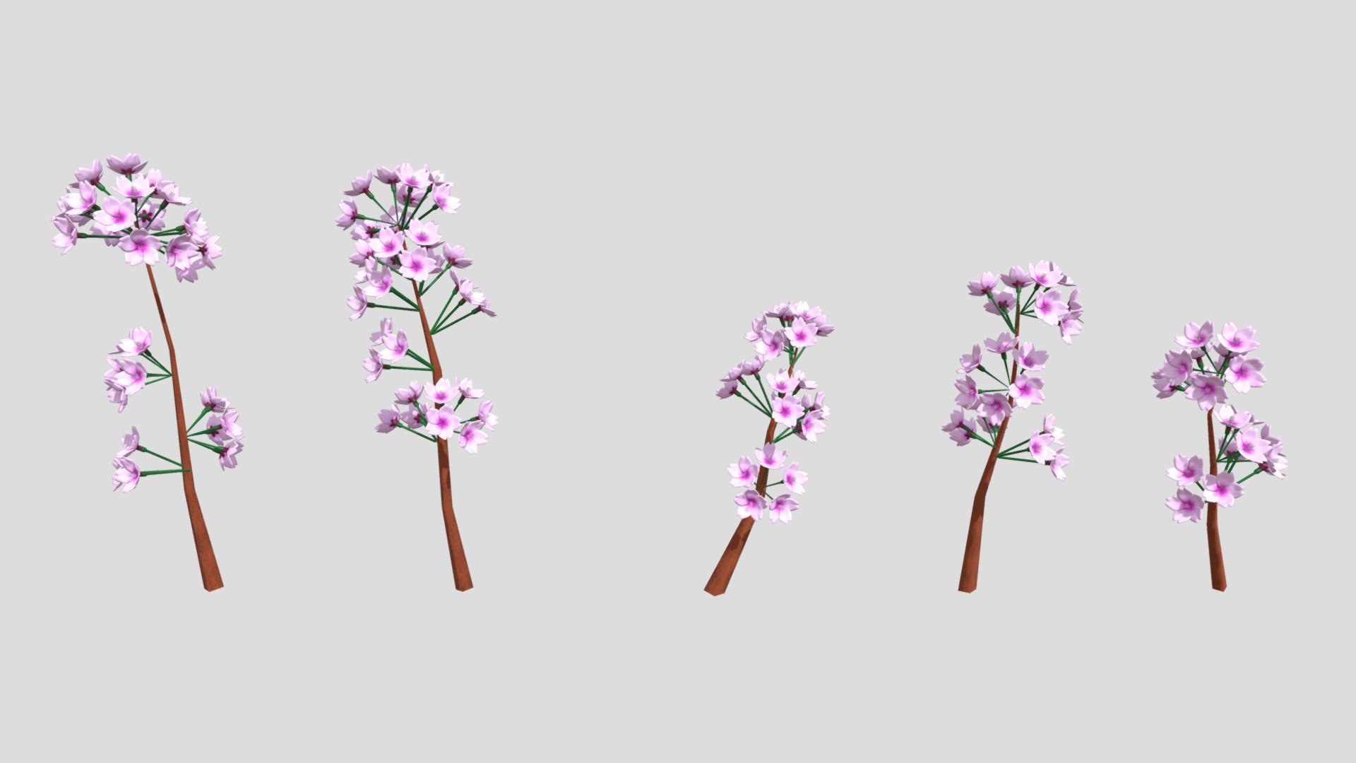 branch of a cherry tree size S 3D model by DiO2022 (timeage.staff6