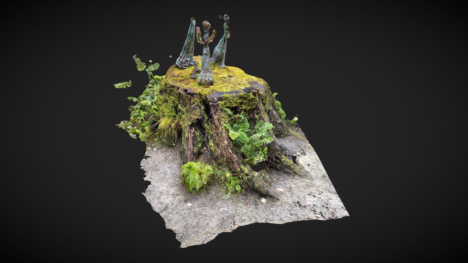 Mossy tree stump
