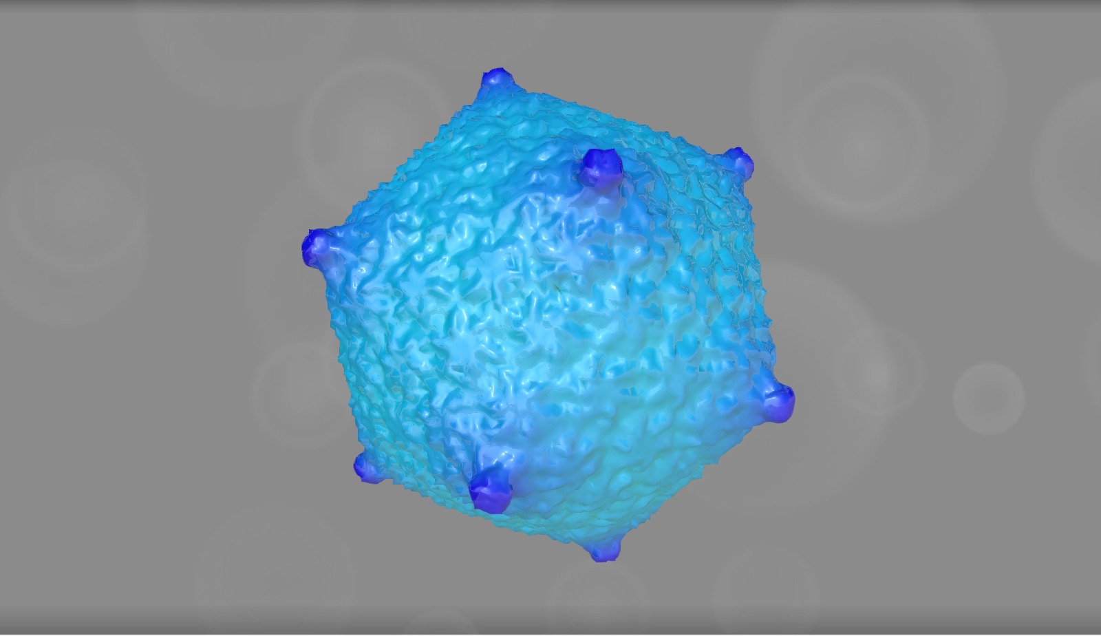EMD 3036 - 3D model by Interactive 3D Data (@proteinsimulation ...