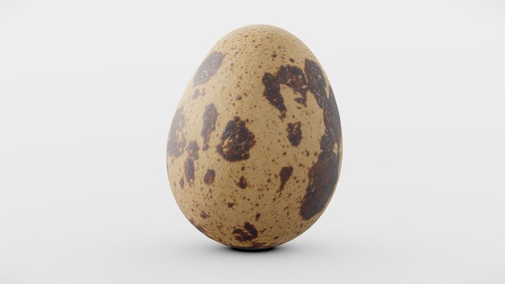 Quail Egg 3D Model