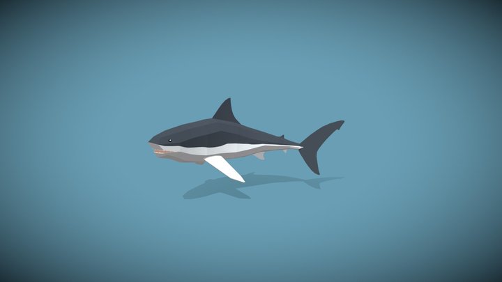 Low Poly Megalodon 3D Model