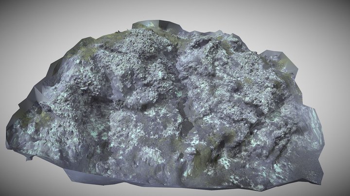 Hydrus - 10x10_65_20 Images and Video - Rotto 3D Model