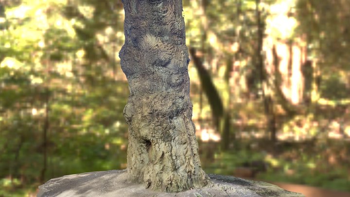 Tree Base – Modèle 3D gratuit STL