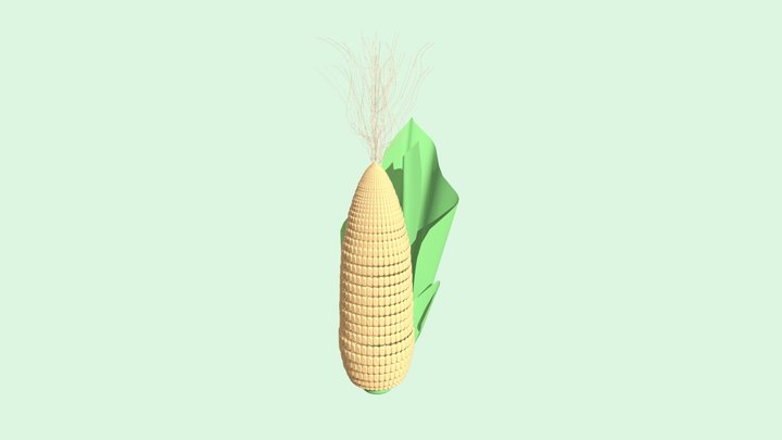 Corn Cob 3D Model