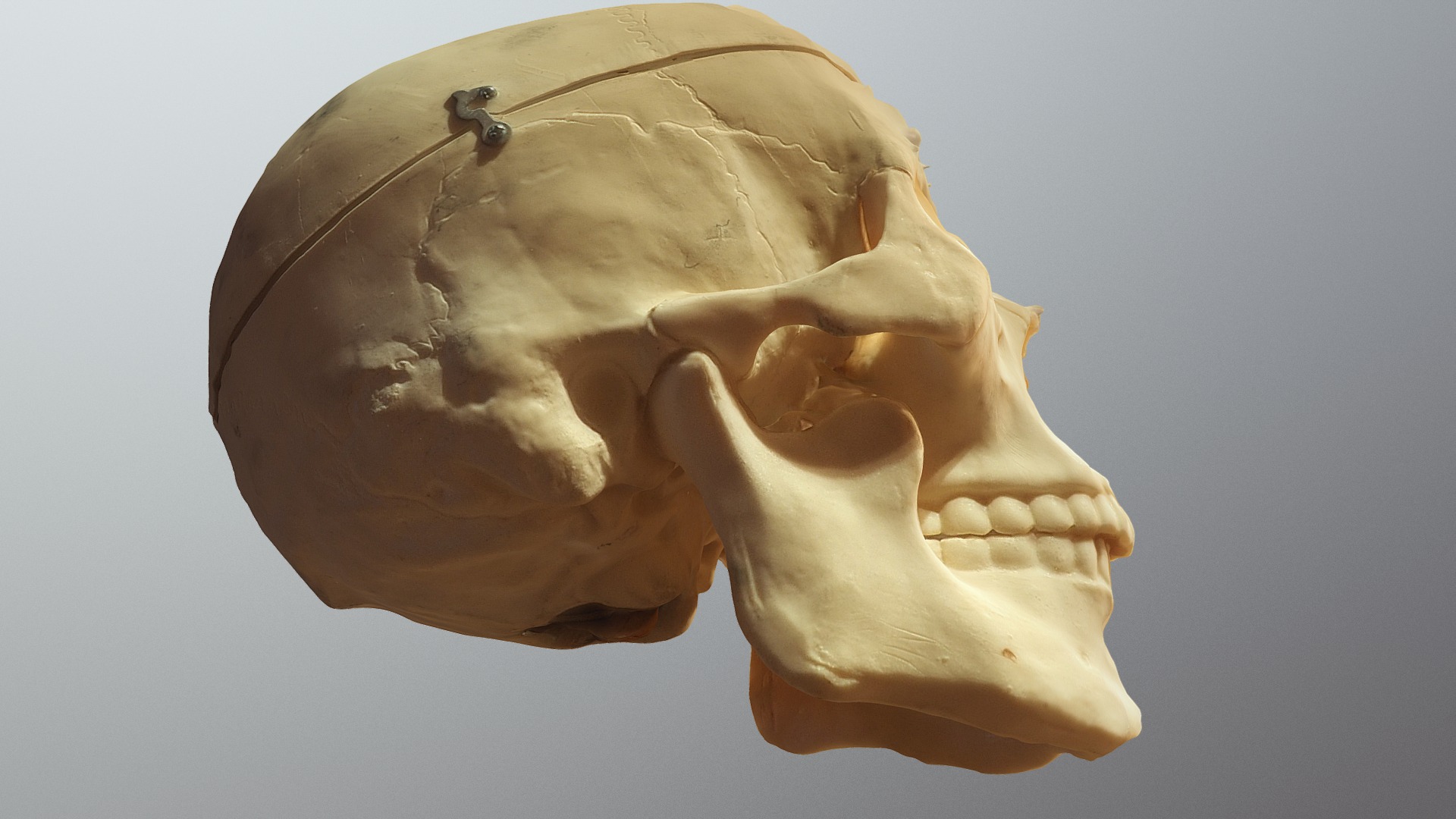 3D model Creep - This is a 3D model of the Creep. The 3D model is about a skull with a light inside.