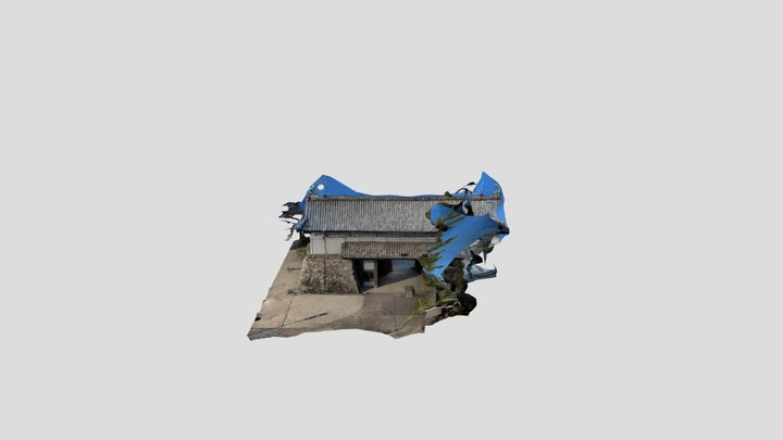 Saga Castle 3D Model