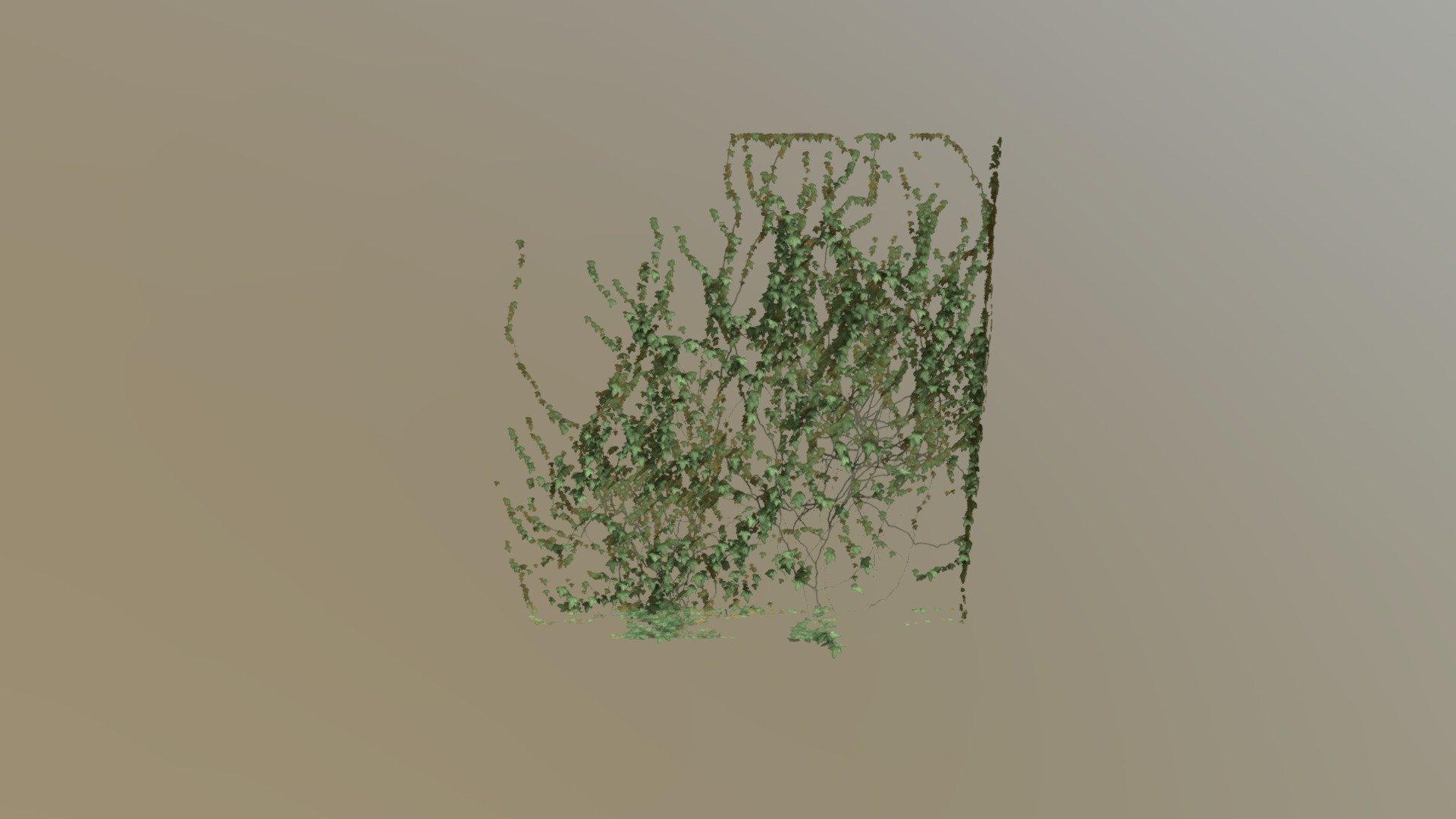 Ivy3_Plane (1)