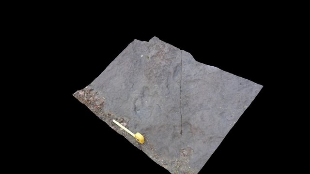 geojoek (geojoek) Sketchfab