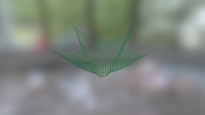 fishing net 3D Model