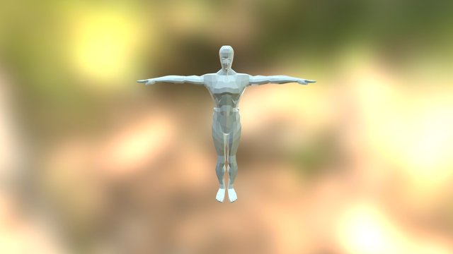 Human 3D Model