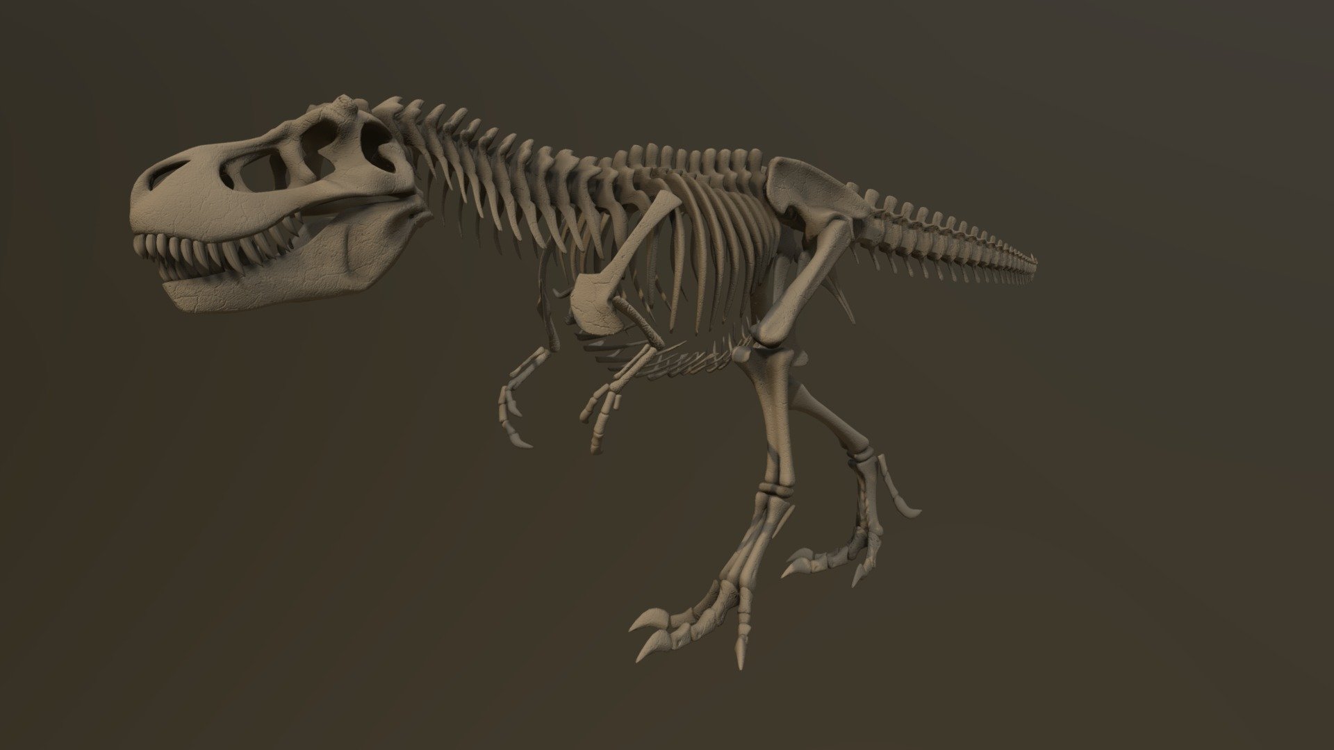 T.rex walk cycle animation