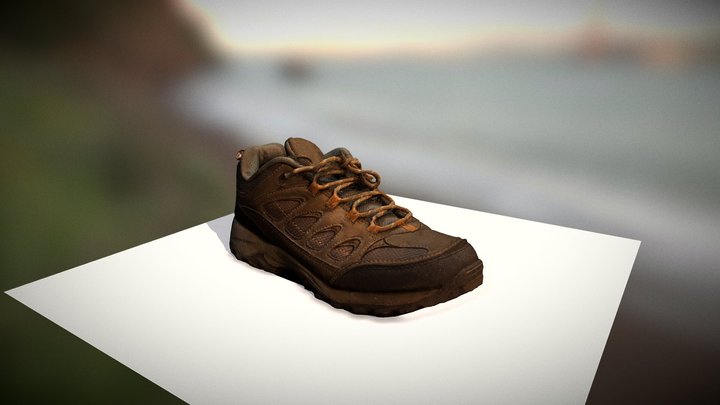 Sport Shoe 3D Model