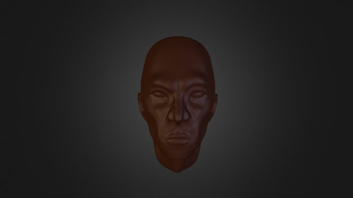A head. 3D Model