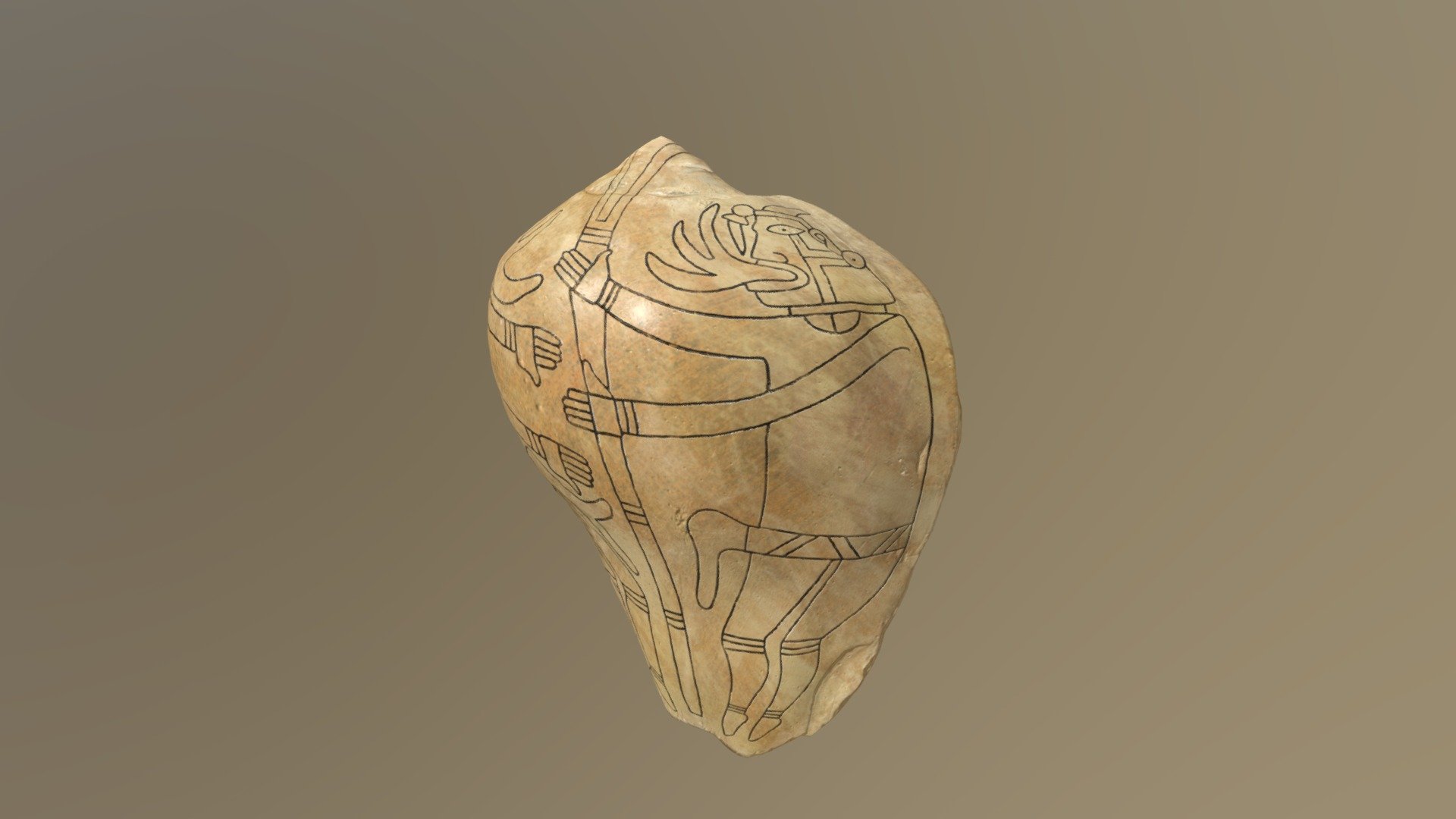 Shell 4 (Plate 322) - 3D model by Tesseract Center at the University of ...