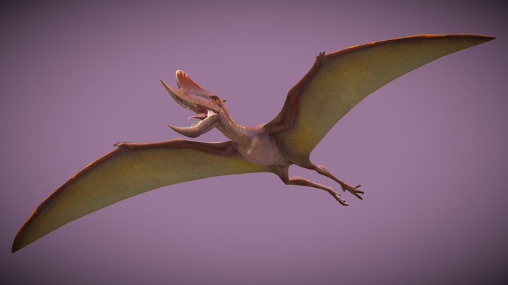 JWE2 Dsungaripterus – Free 3D Model STL