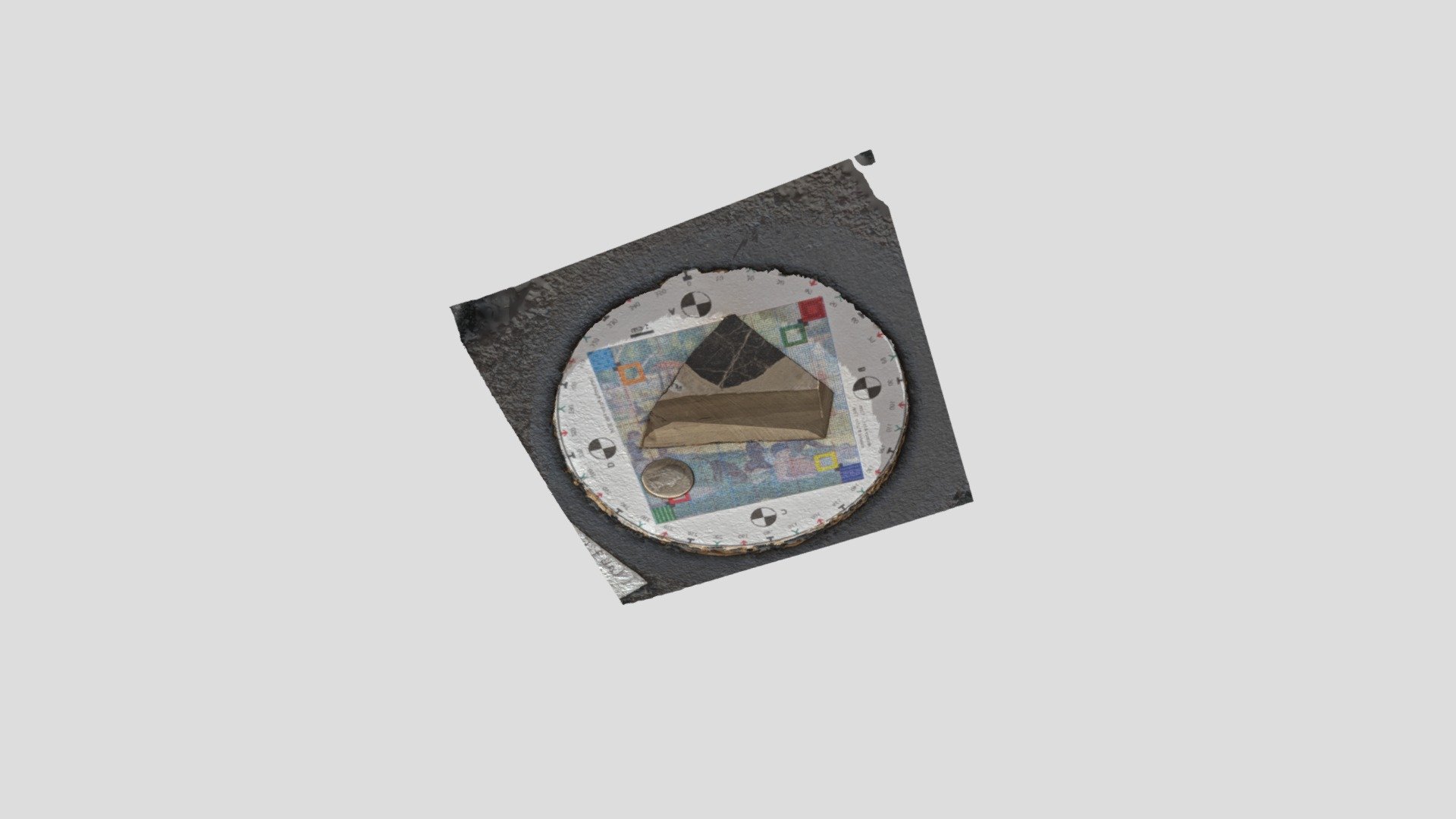 Dermal Plate