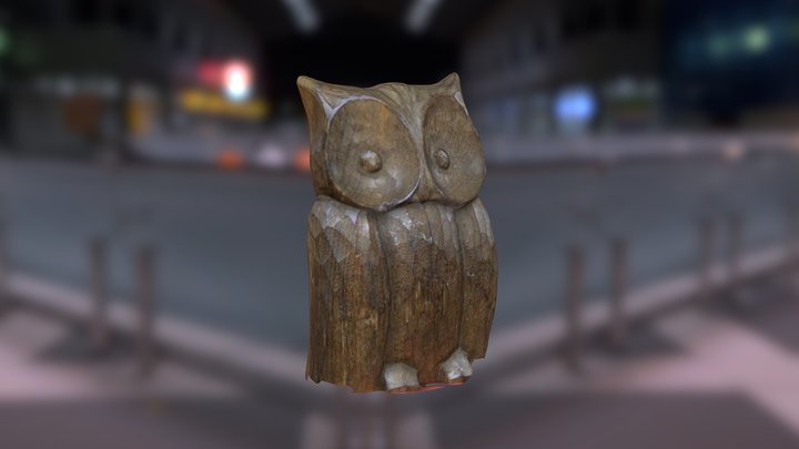 Xixo - Wooden Owl (Artec EVA Scan) 3D Model
