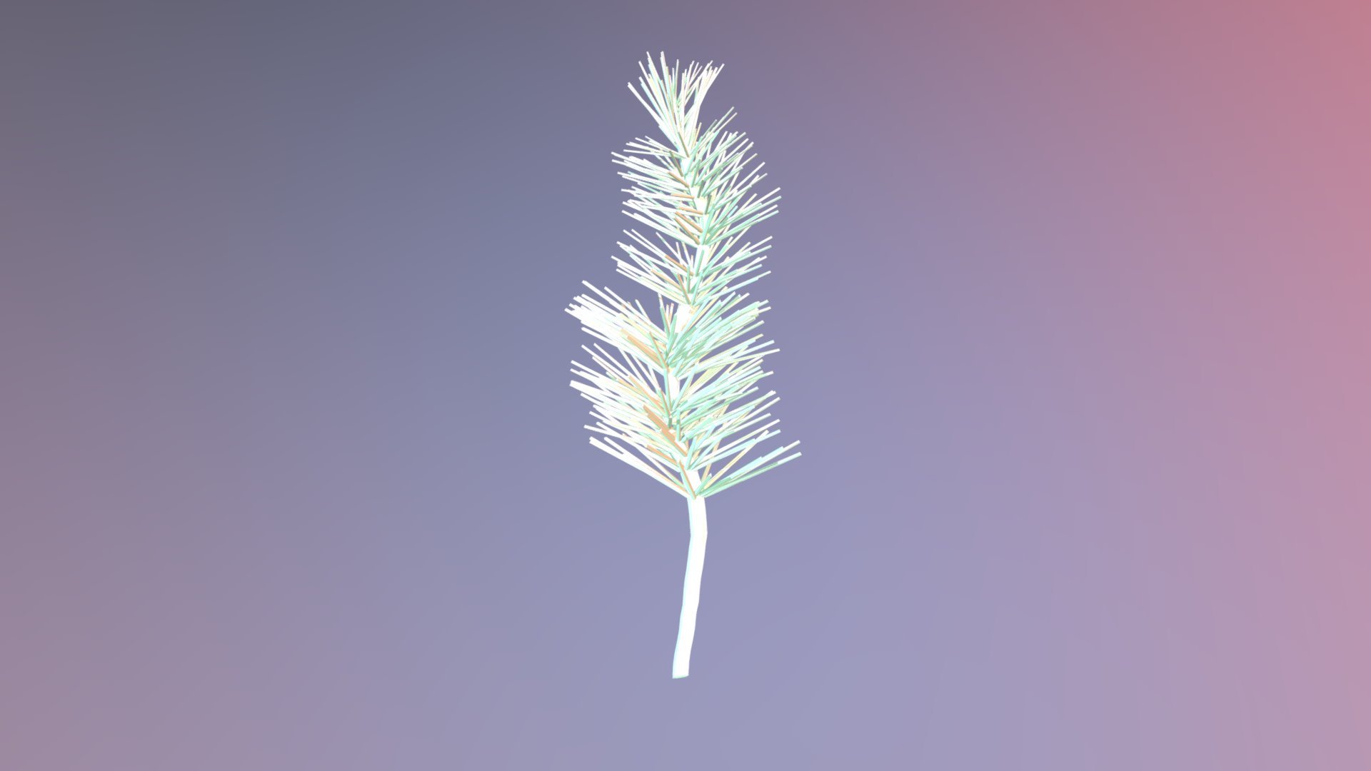 Hornwort