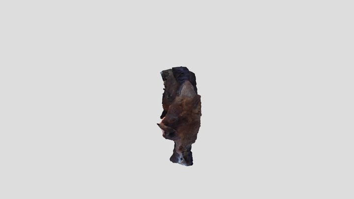 Juampi 3D Model