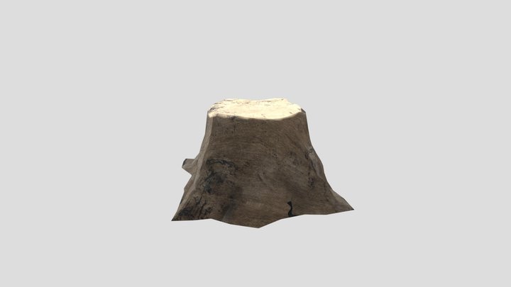 TreeStumpy 3D Model