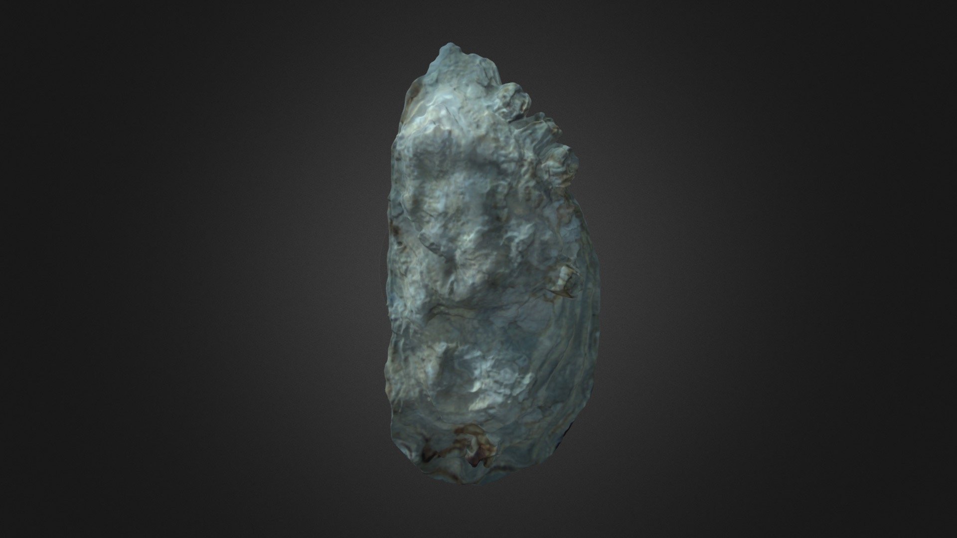 Oyster Scan 13 - Simplified