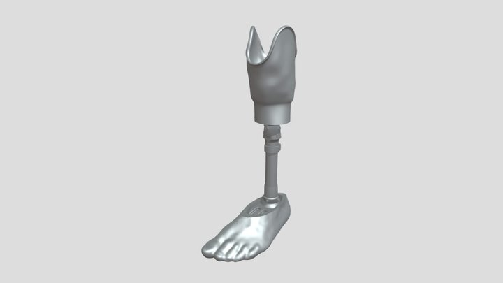 Ugani - Transtibial prosthetic model 3D Model