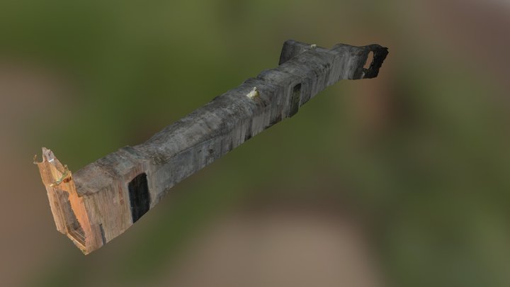 Volesio Vault Low Quality 3D Model