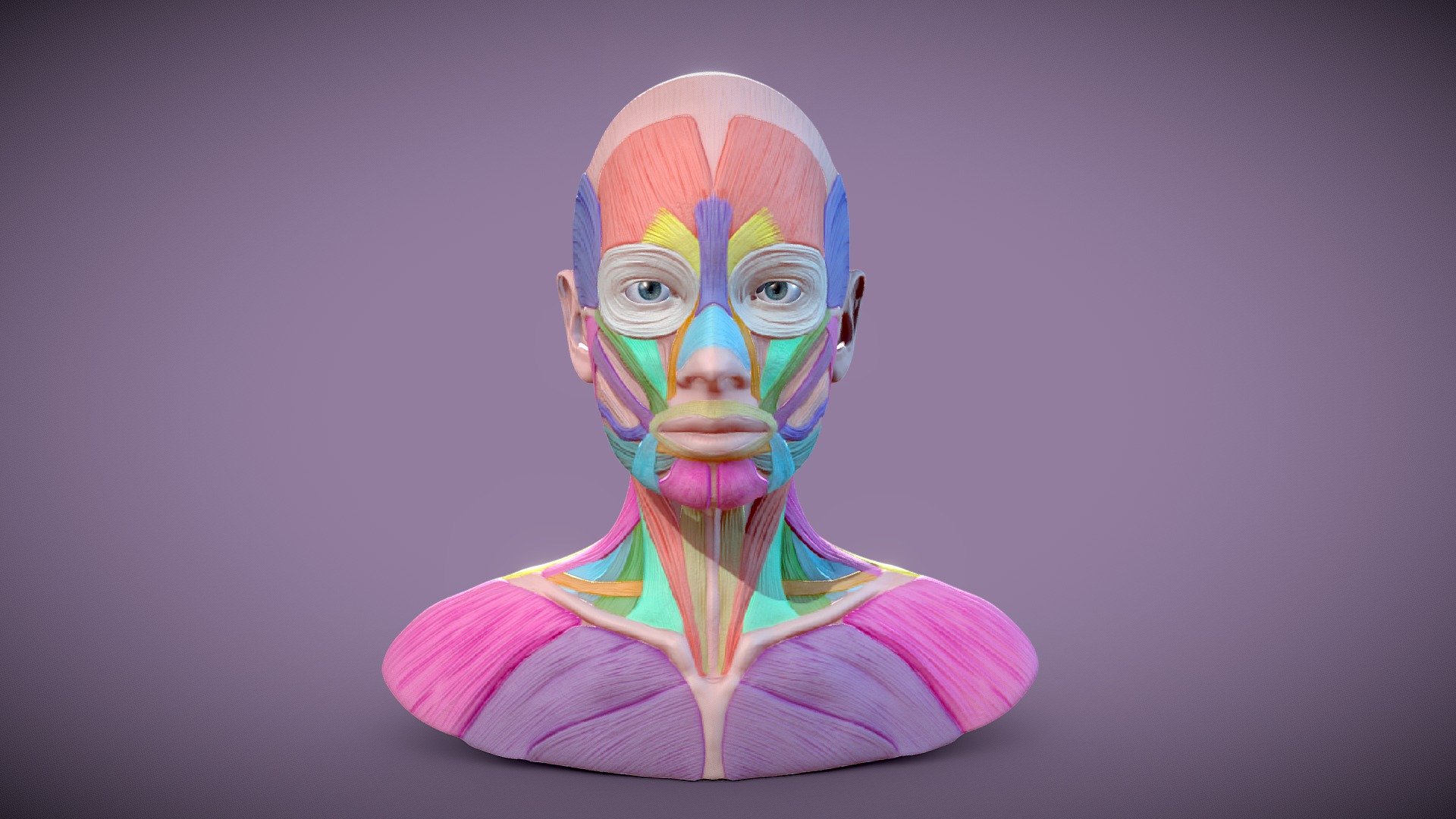 ReBloom 3D Head - 3D Model By Nicos (@antinicos) [cbd74cf] - Sketchfab