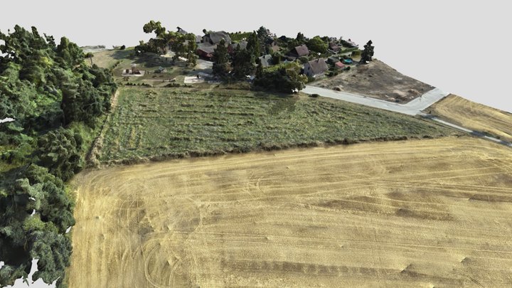 odm_textured_model_geo 3D Model
