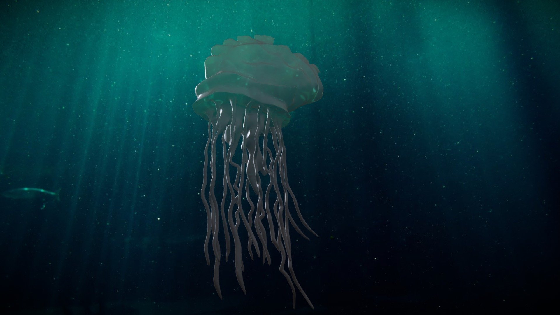 Portuguese man o' war
