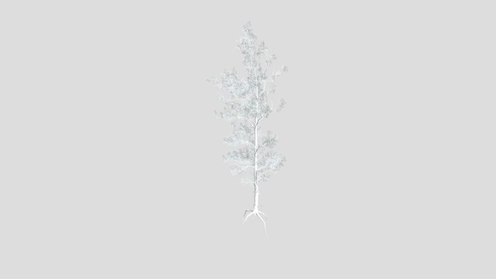 Sj Shimmering Pine Grove – Modelo 3D gratuito STL