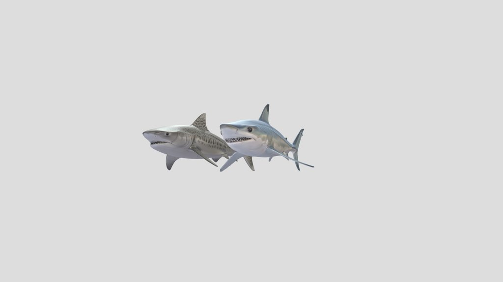 MakoShark and TigerShark