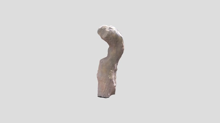 共鳴プルメリアフリーダム 3D Model