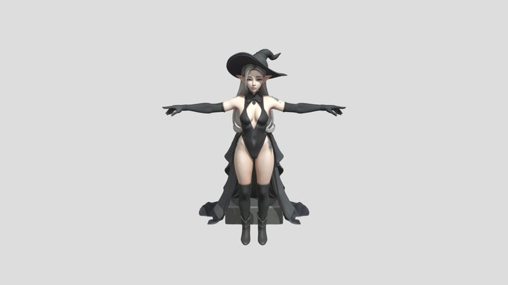 Enigmatic Sorceress 3D Model