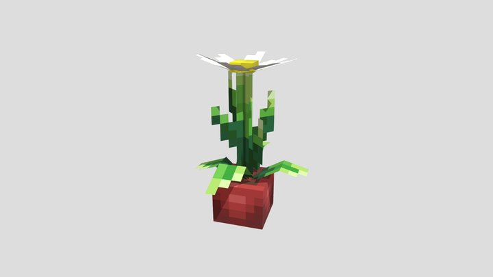 Pot daisy 3D Model