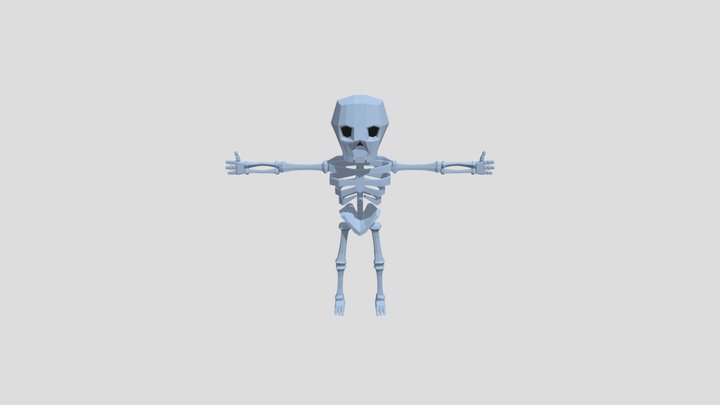 Skeleton 3D Model