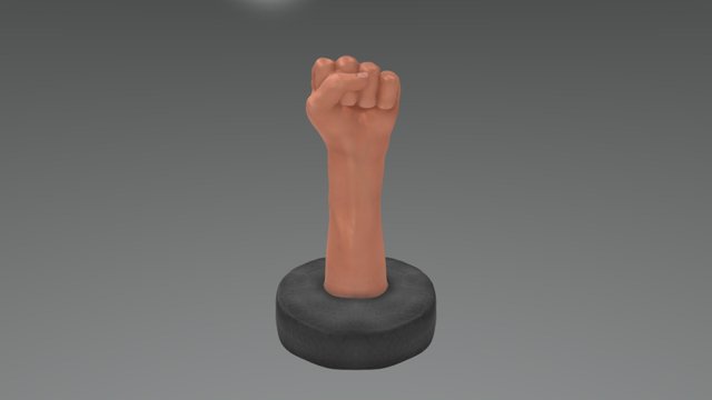 Fist 3D Model
