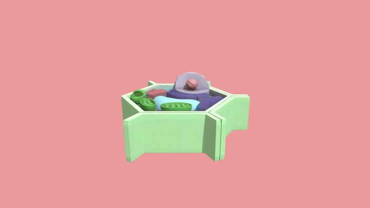 CELULA VEGETAL 3D Model