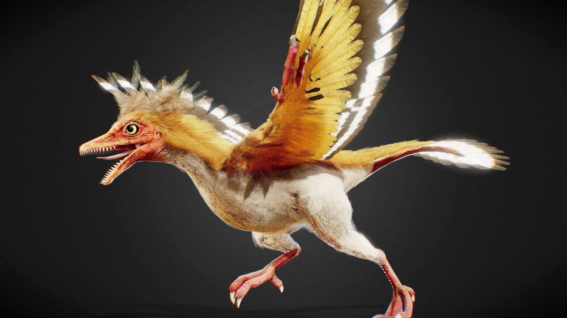 Archaeopteryx - 3D model by khata [cbec559] - Sketchfab