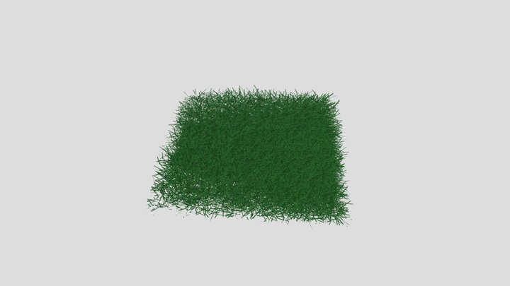 Grass square 3D Model